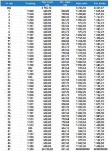 Przykład: leasing na kilometry4