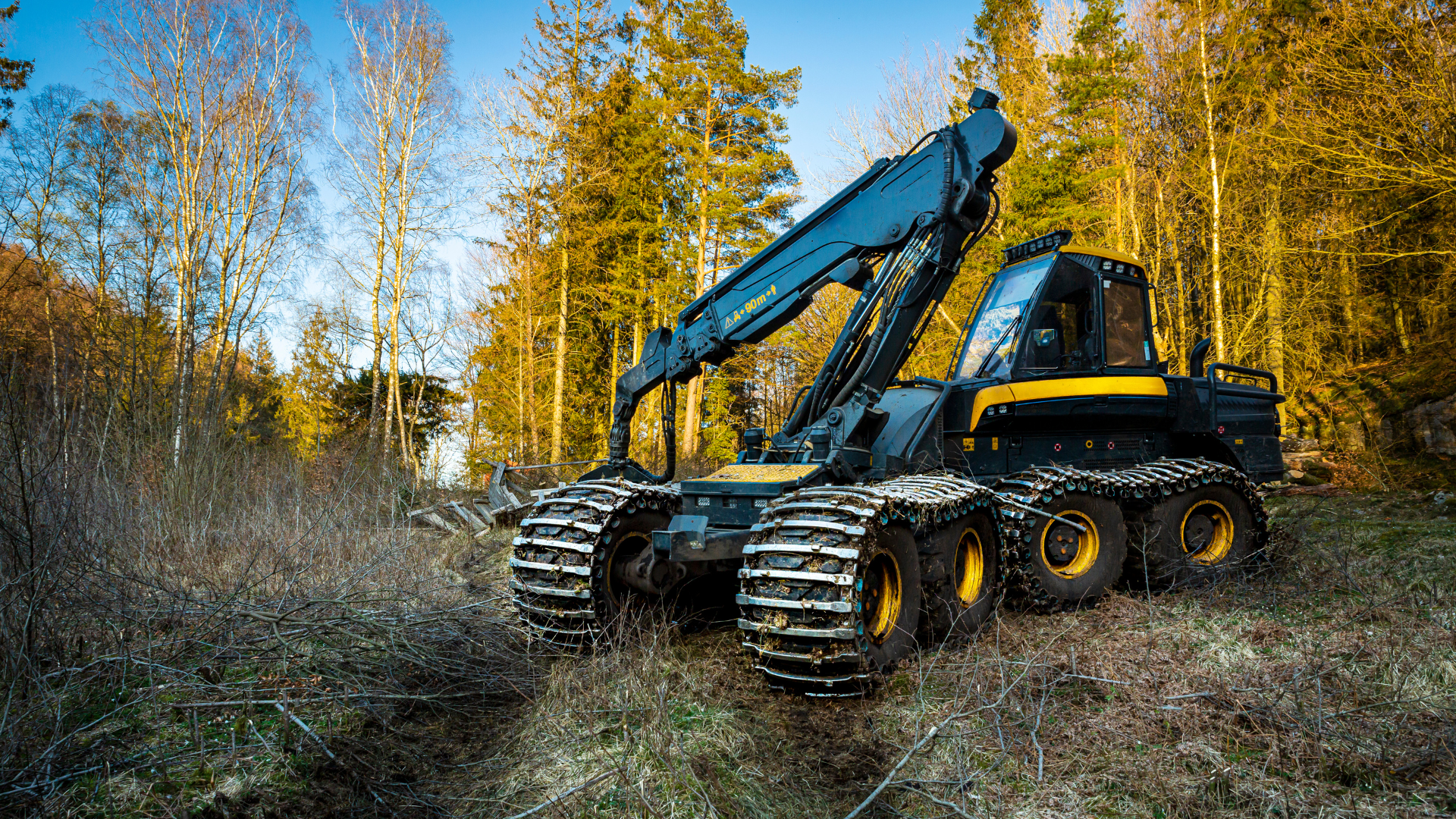 Leasing maszyn leśnych – harwesterów, forwarderów i in.