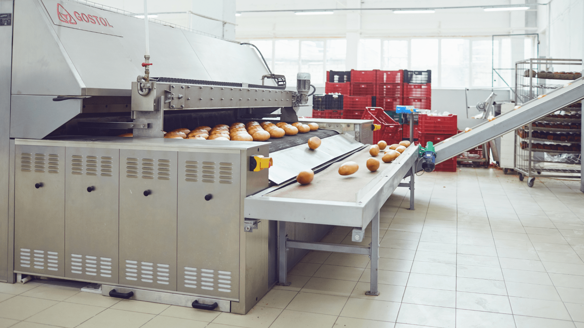 Leasing maszyn piekarniczych i cukierniczych