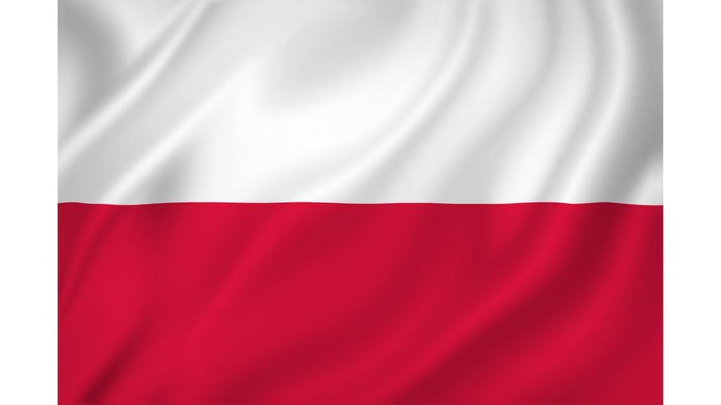 polskie firmy leasingowe